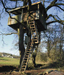 devon tree houses